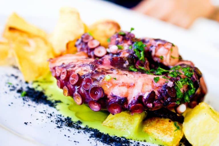 octopus dish