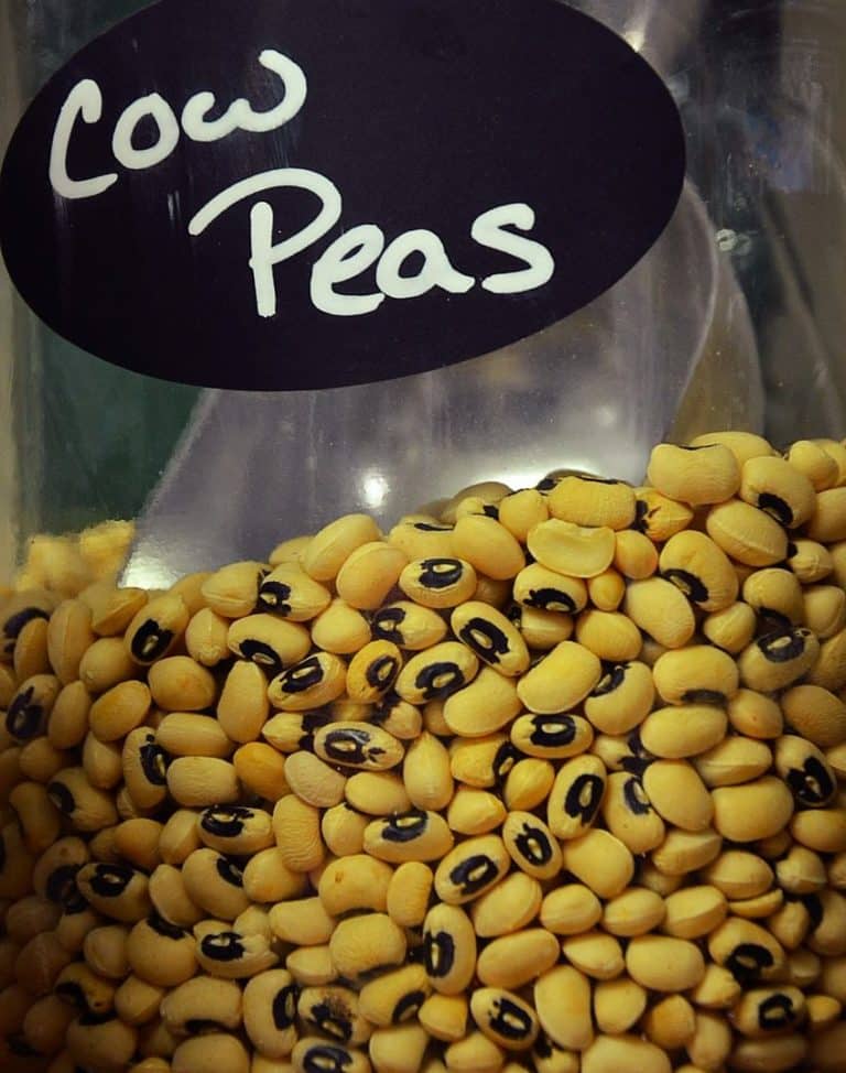 black eyed peas