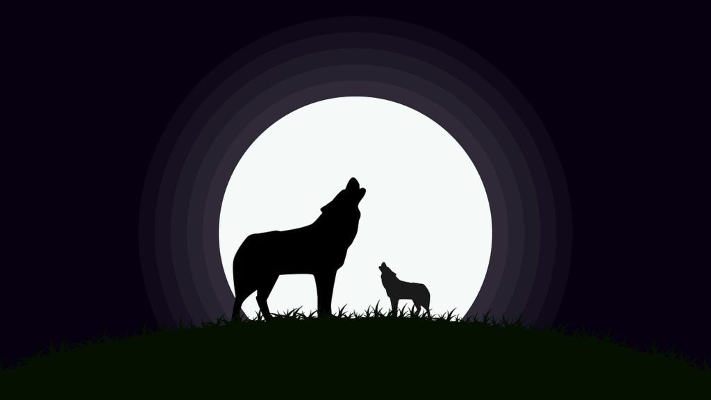 dog and wolf howling at moon