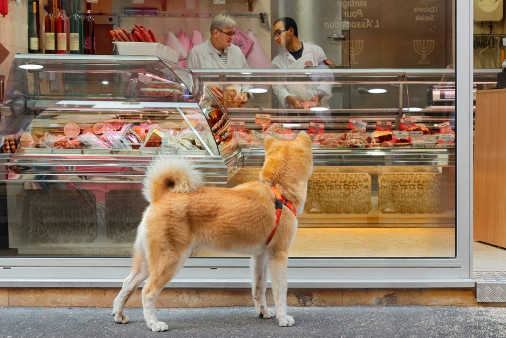 dog in front of butcher store