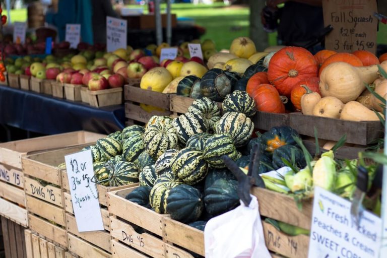 squash at a farmers market